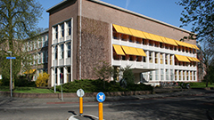 default image