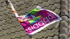 default image